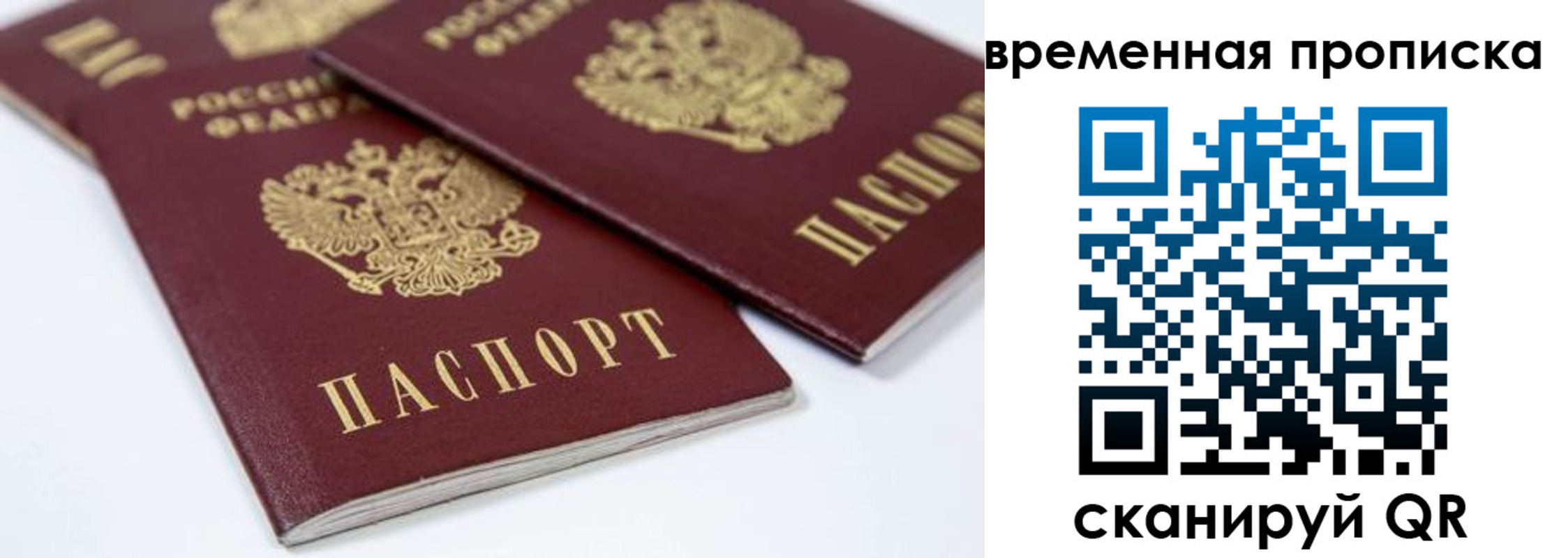 прописка для школы в Аркадаке